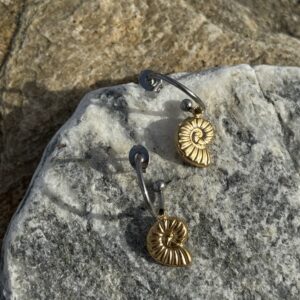 Little Shells